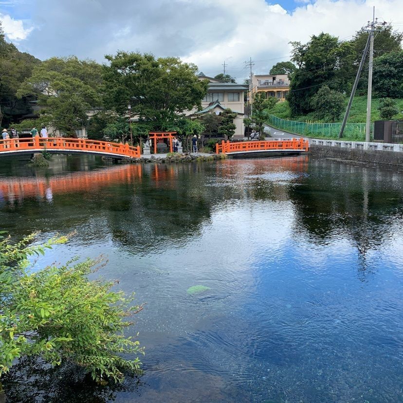tom_takedaさんが投稿した湧玉池に関する口コミの画像