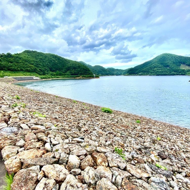 Satoshi.Nさんが投稿した阿賀川(大川)に関する口コミの画像