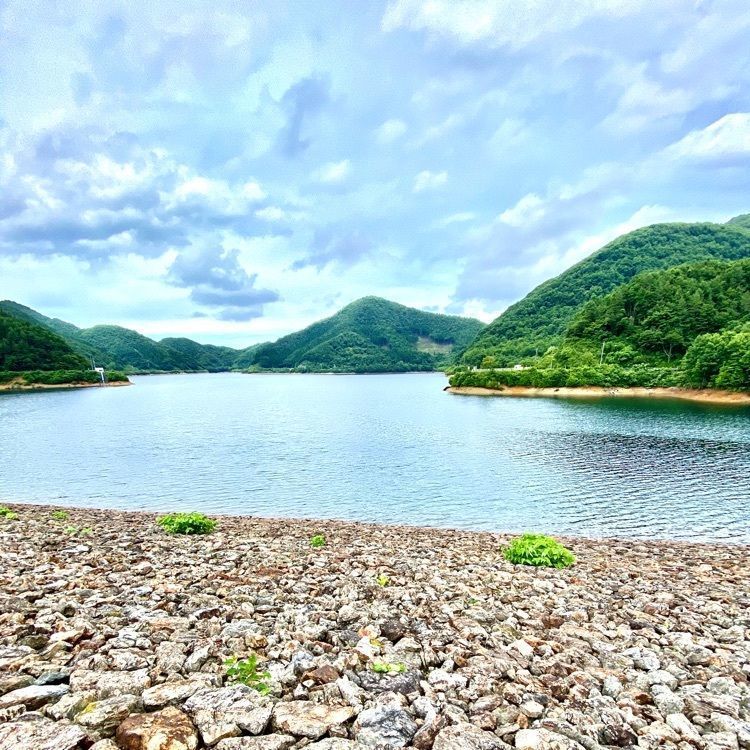 Satoshi.Nさんが投稿した阿賀川(大川)に関する口コミの画像