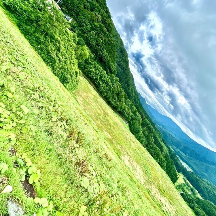 Satoshi.Nさんが投稿した阿賀川(大川)に関する口コミの画像