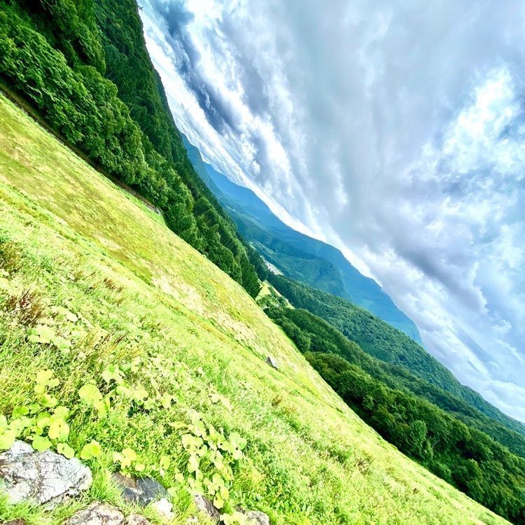 Satoshi.Nさんが投稿した阿賀川(大川)に関する口コミの画像