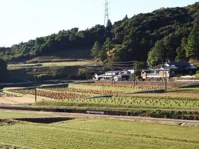 比丘尼城跡