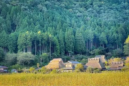 美山町自然文化村