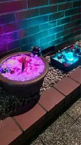 シャロン