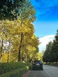 腰掛庵