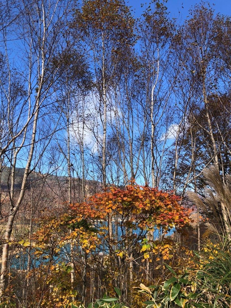 それなはとけさんが投稿した里山十帖（サトヤマジュウジョウ）に関する口コミの画像