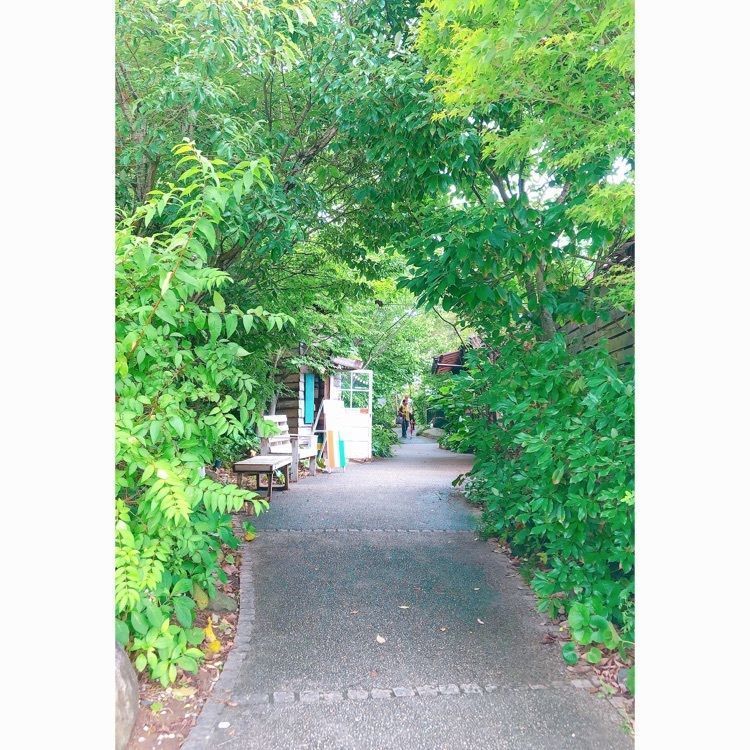 ponponaoさんが投稿したはさみ温泉 湯治楼に関する口コミの画像