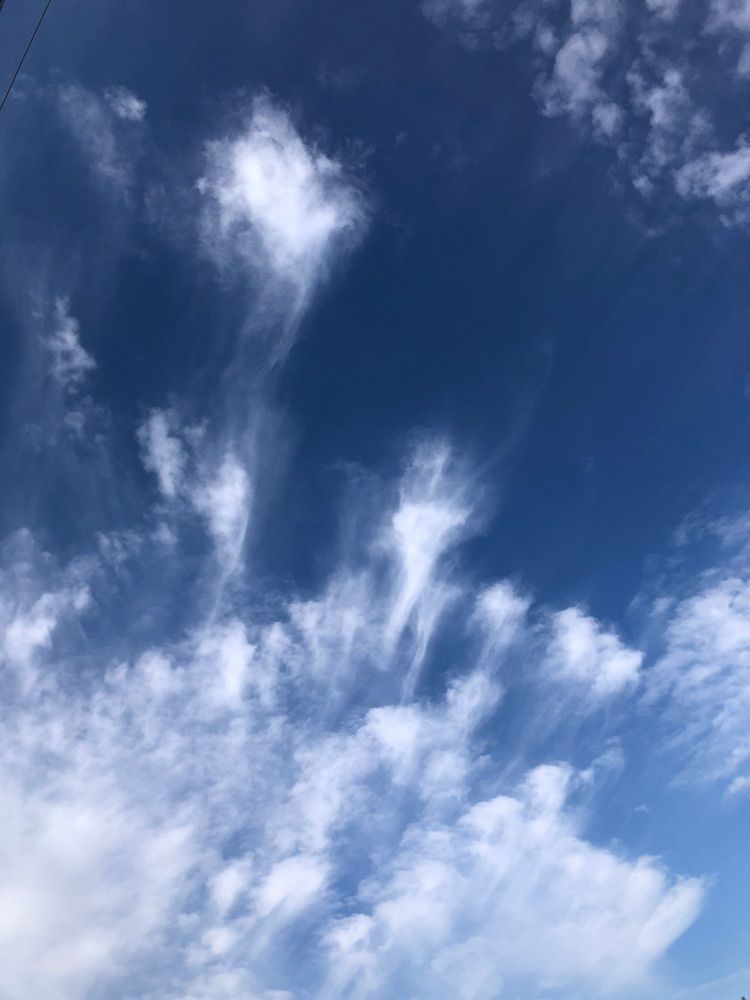 からっ風②さんが投稿した桜井豆腐店に関する口コミの画像