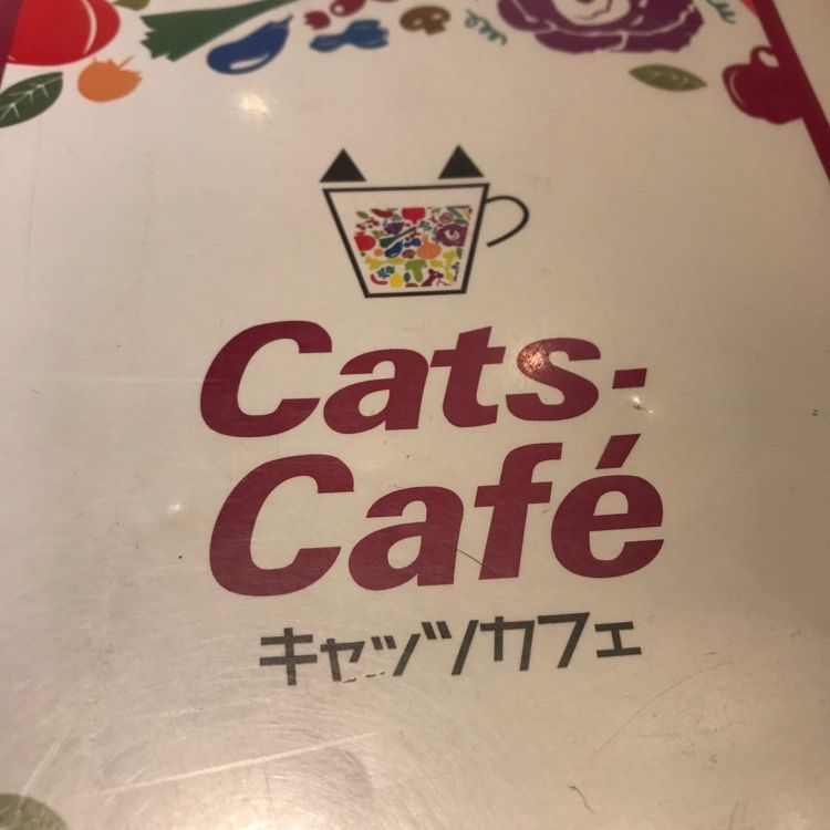 ✨💫momo✨💫✧さんが投稿したキャッツカフェ 港店に関する口コミの画像