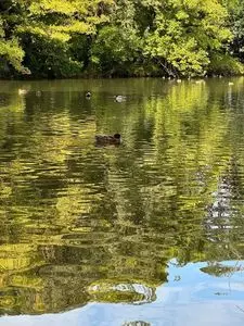 狭山市立智光山公園こども動物園