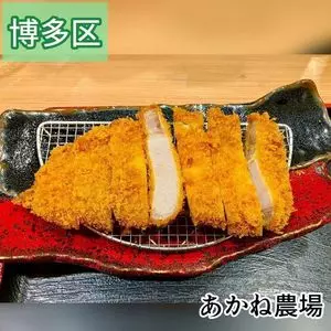 あかね農場 吉塚駅前店