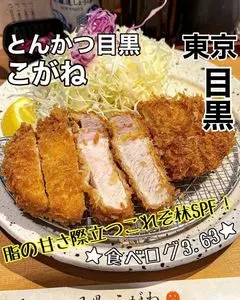 とんかつ目黒こがね