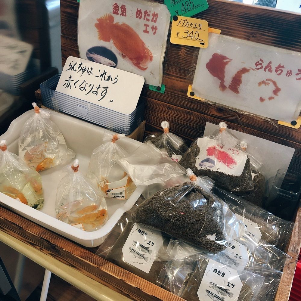 asomogさんが投稿した道の駅みさき夢灯台に関する口コミの画像