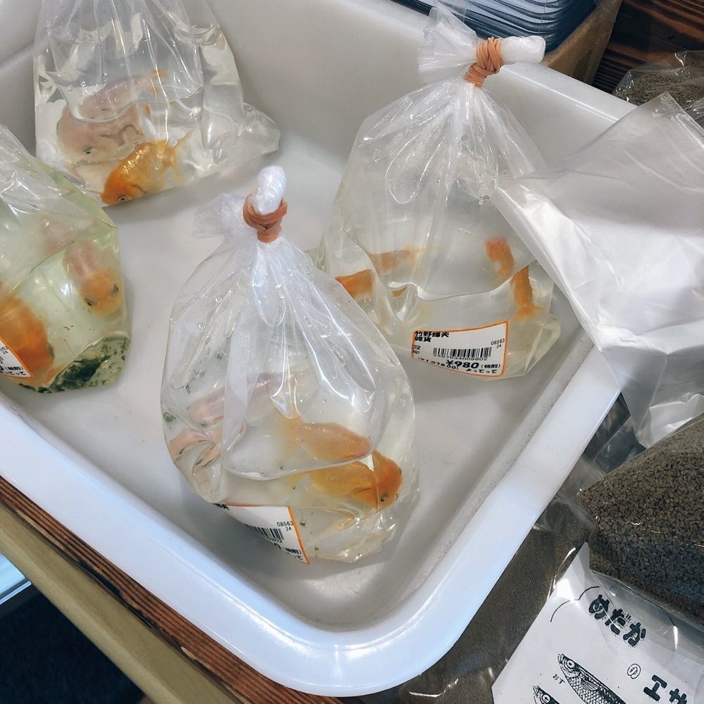 asomogさんが投稿した道の駅みさき夢灯台に関する口コミの画像