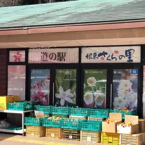道の駅 根来さくらの里