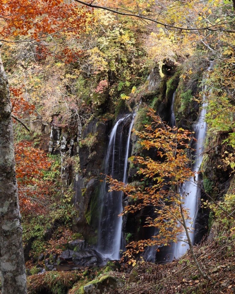 jun1216さんが投稿した蔵王の紅葉に関する口コミの画像