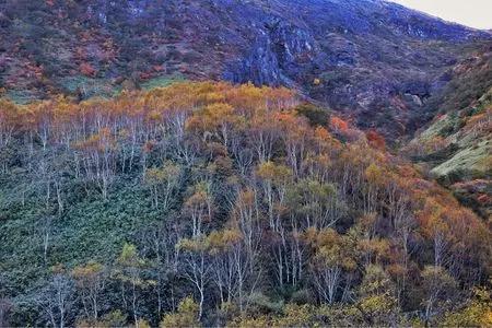 茶臼岳