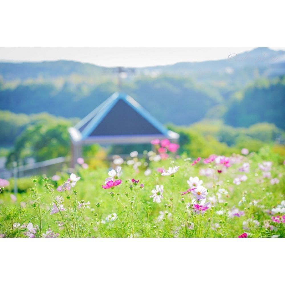 urban_garden_243aさんが投稿した総合運動公園駅に関する口コミの画像