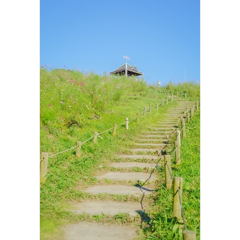 urban_garden_243aさんが投稿した総合運動公園駅に関する口コミの画像
