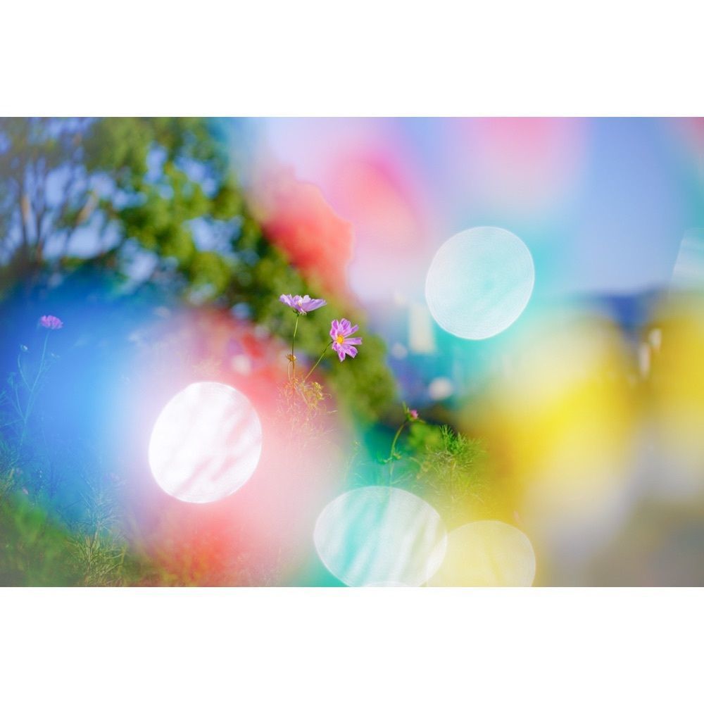 urban_garden_243aさんが投稿した総合運動公園駅に関する口コミの画像