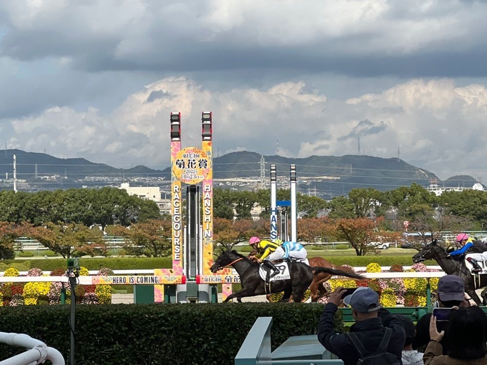 himbaさんが投稿した阪神競馬場　ターフィーコーナーに関する口コミの画像