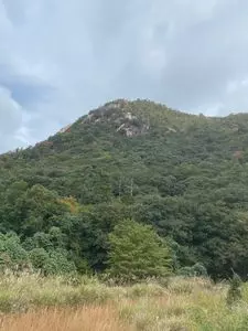 セブンイレブン 広島白木町