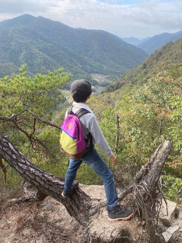 あるふぃすたさんが投稿したセブンイレブン 広島白木町に関する口コミの画像