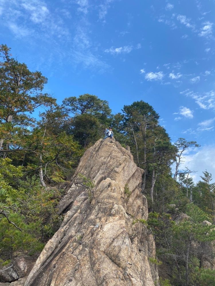 あるふぃすたさんが投稿したセブンイレブン 広島白木町に関する口コミの画像