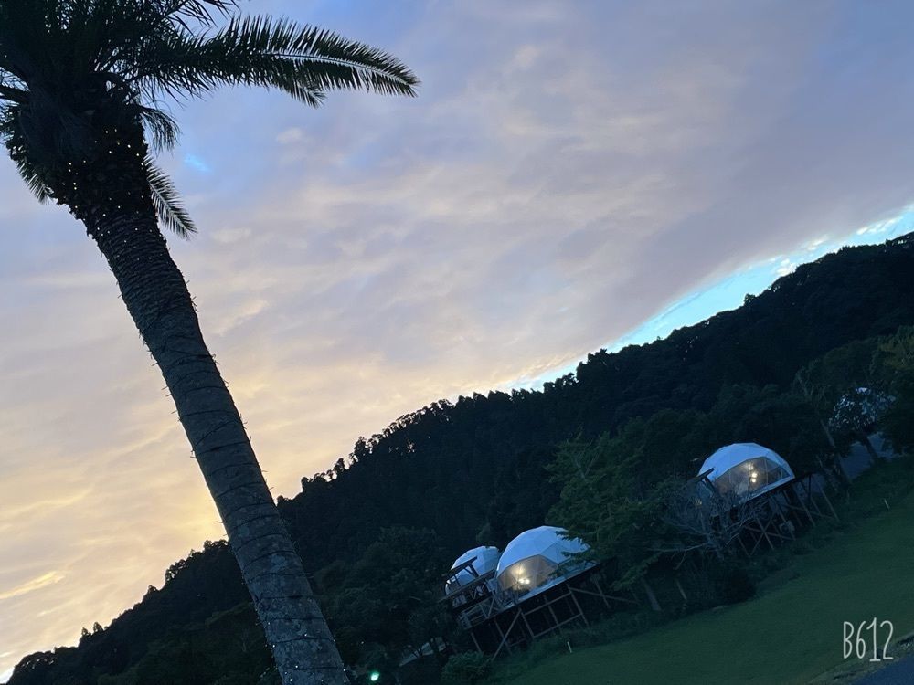 wakuwaku_rokomokoさんが投稿したキャメル ホテルリゾートに関する口コミの画像