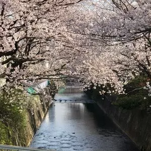酒匂川スポーツ広場