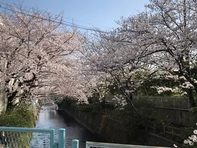 酒匂川スポーツ広場 3枚目