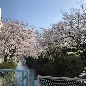 酒匂川スポーツ広場 2枚目