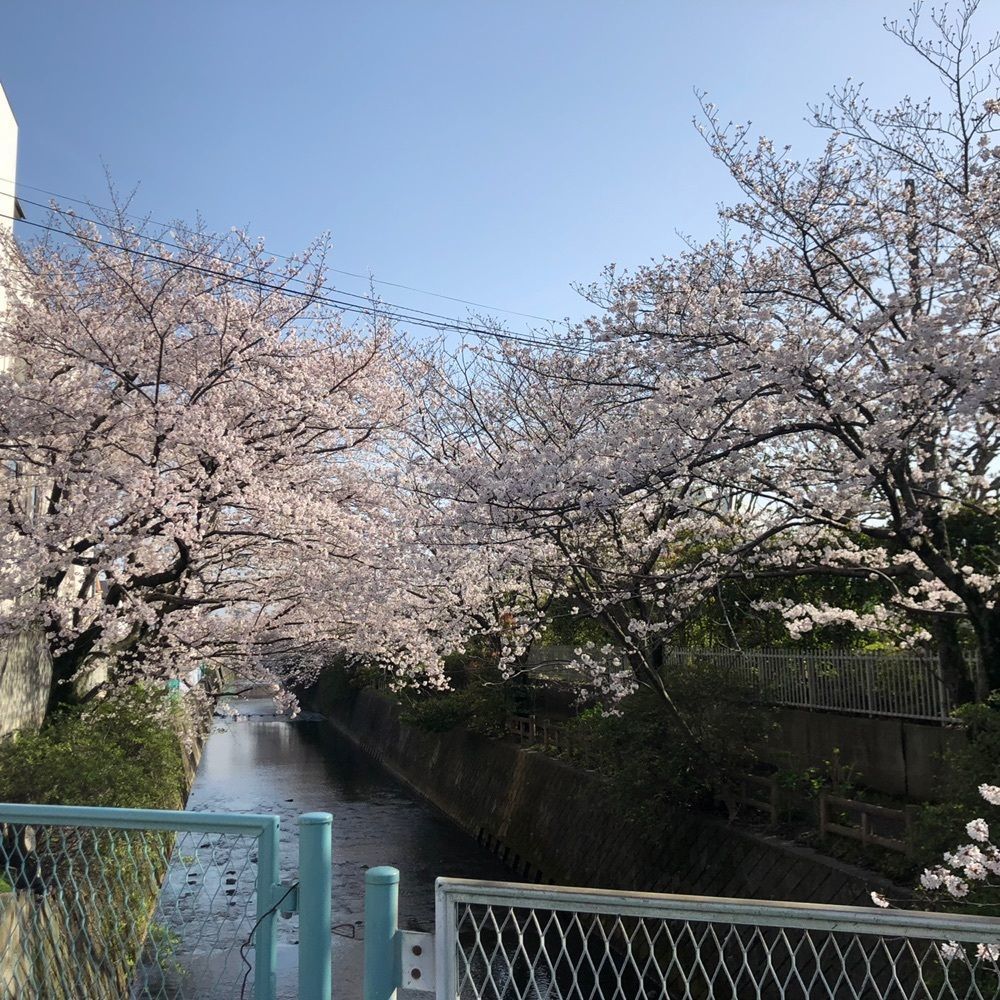 asomogさんが投稿した酒匂川スポーツ広場に関する口コミの画像