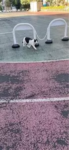 桜田公園