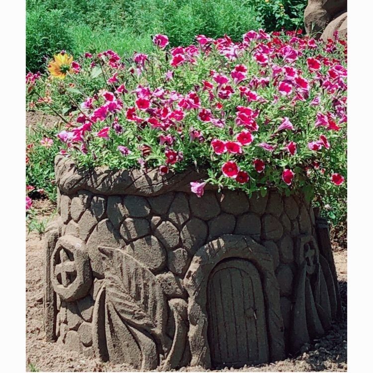 もこもこさんが投稿した館山ファミリーパークに関する口コミの画像