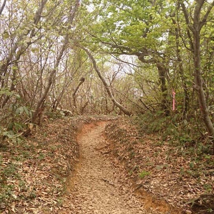 ＤＪゴン太さんが投稿した八海山に関する口コミの画像