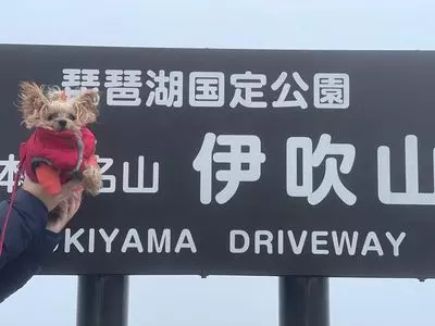 伊吹山（滋賀県米原市）