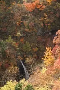 磐梯吾妻スカイライン