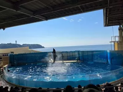 新江ノ島水族館 メインショップ（新江ノ島水族館 MainShop）