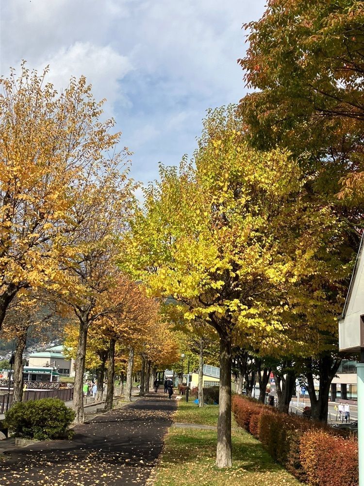 Nさんが投稿した諏訪湖一周遊覧船すわんに関する口コミの画像
