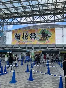 阪神競馬場