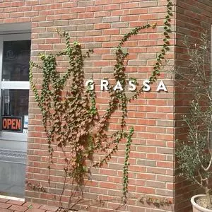 グラッサ（GRASSA）