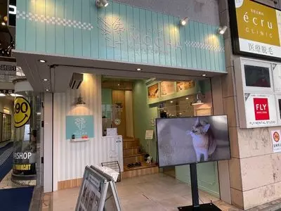 猫カフェ MOCHA 京都河原町店