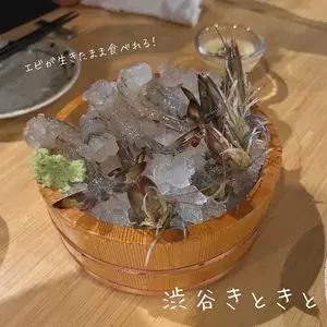 渋谷 きときと（Shibuya kitokito）