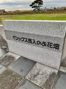イシックス馬入のお花畑