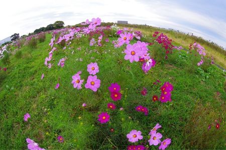 施設画像