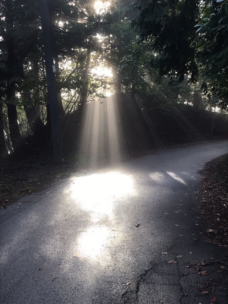 ラリホーさんが投稿した来日岳に関する口コミの画像