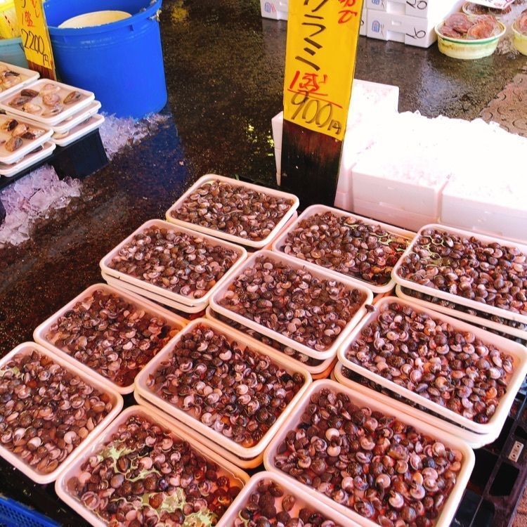 いまにーさんが投稿した回転寿司森田 那珂湊1号店に関する口コミの画像