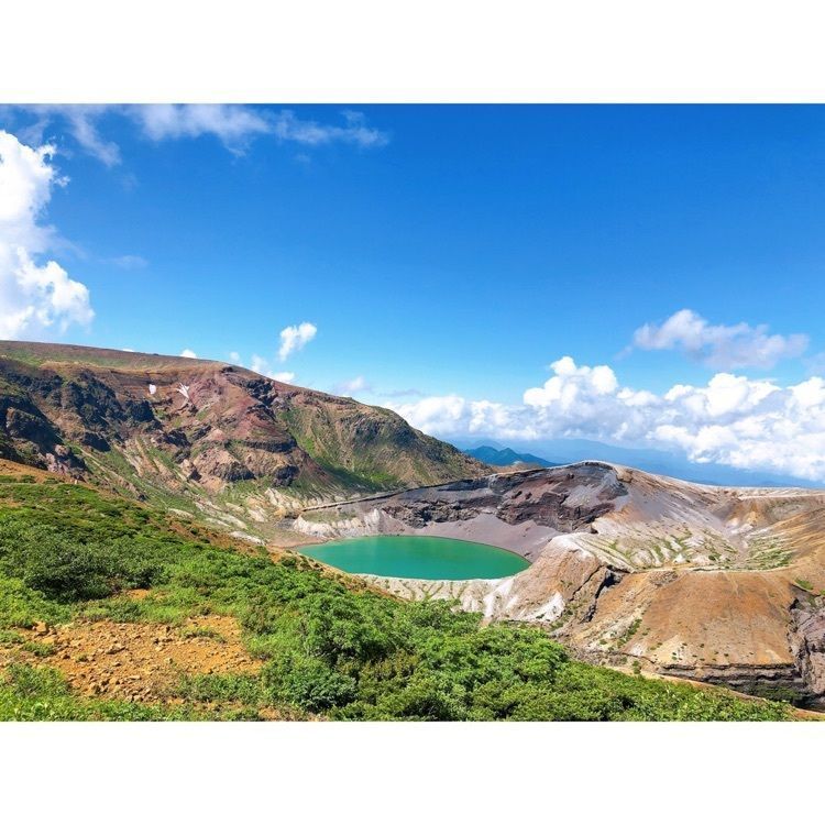 Risaの画像