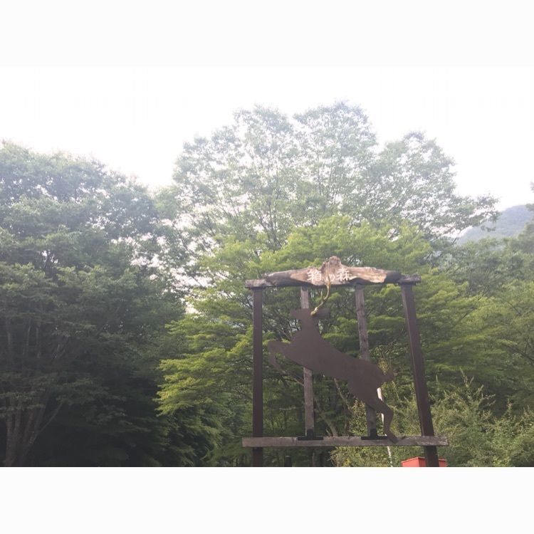 yukayuka26a さんが投稿した塩原温泉箱の森プレイパークに関する口コミの画像